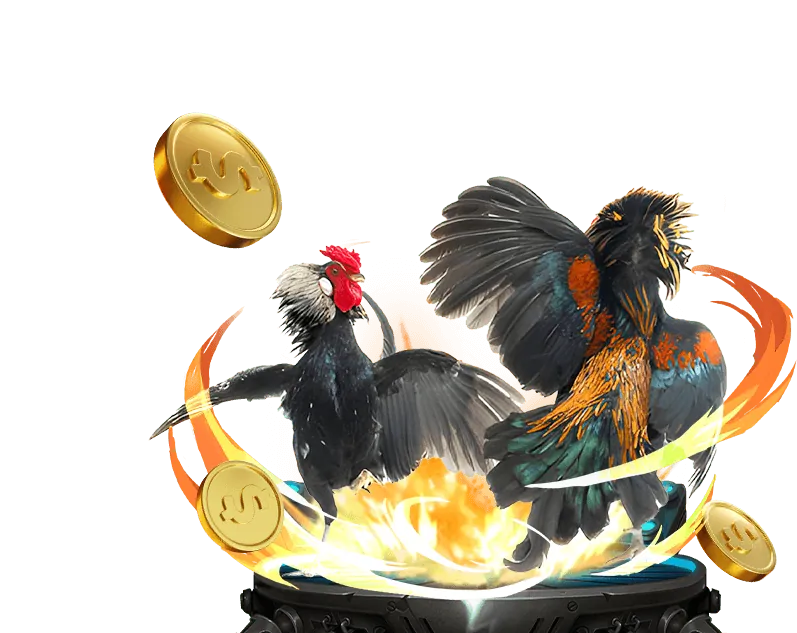 Chiến lược cá cược đá gà 66b bet