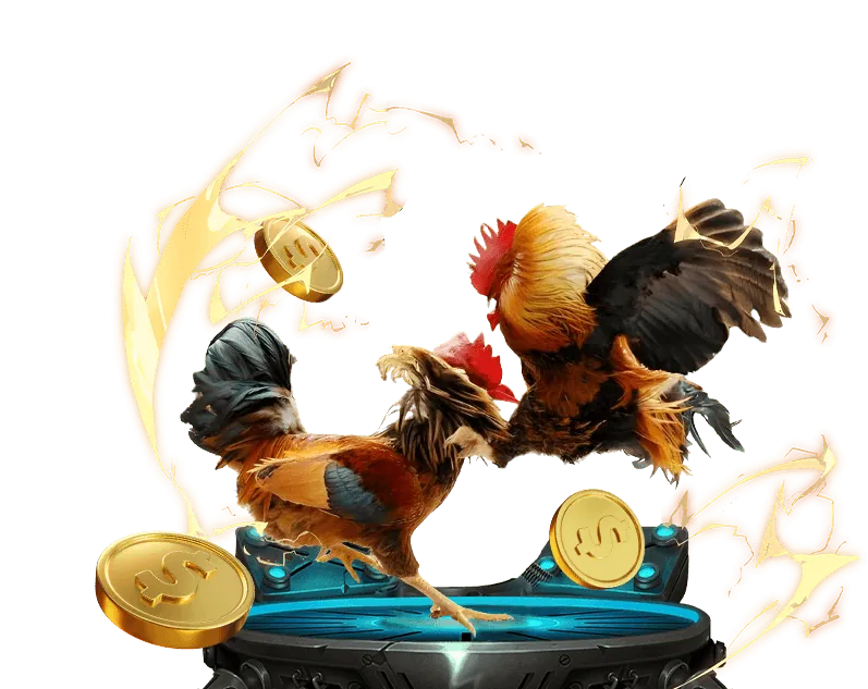 Chiến lược cá cược hiệu quả tại 66b bet